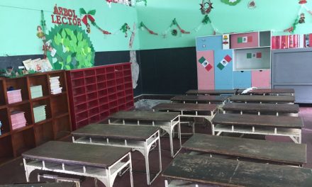 LOS DAÑOS SOCIALES DE LA REFORMA EDUCATIVA
