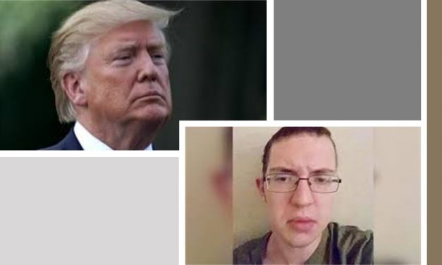 .@realDonaldTrump autor intelectual del #walmartshoting